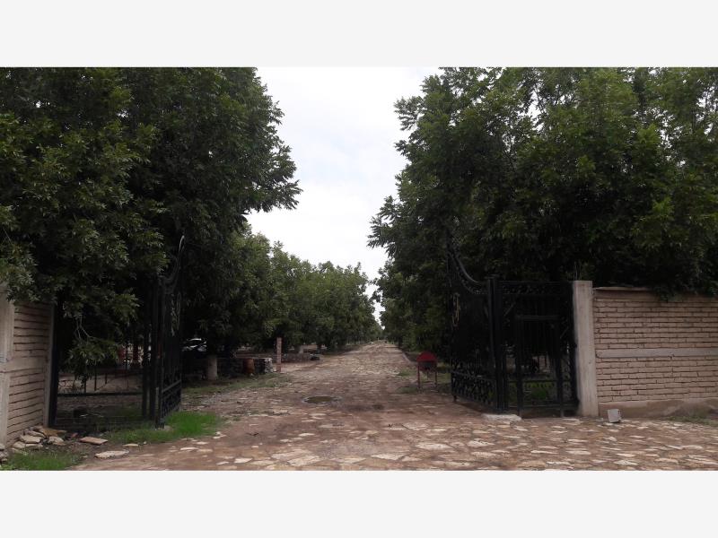 TERRENOS CAMPESTRES EN VENTA EN GOMEZ PALACIO DGO.