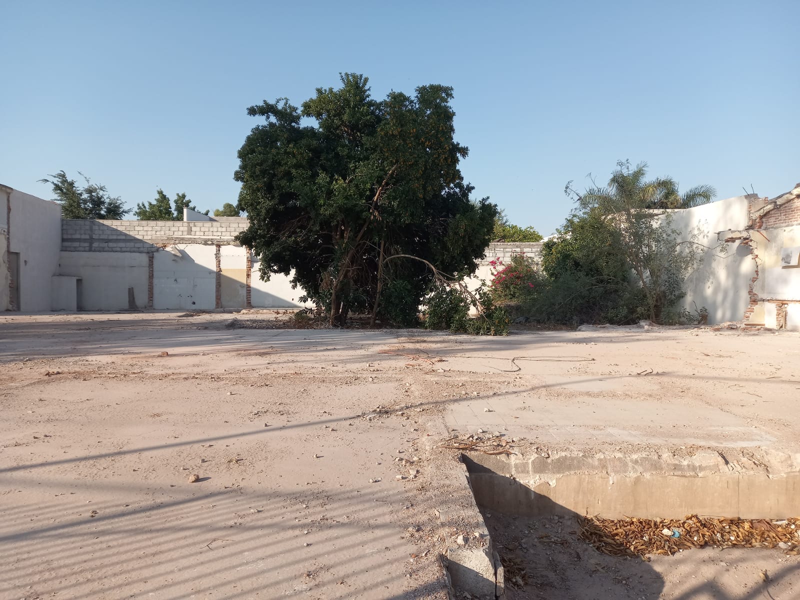 TERRENO EN RENTA SAN ISIDRO TORREÓN